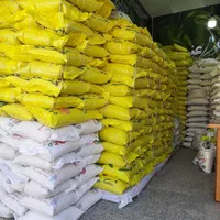 فروش عمده برنج کامفیروز
