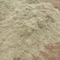 کاه لوبیا چیتی