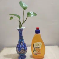 مایع دستشویی طبیعی