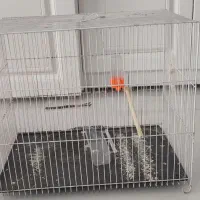 دو عدد قفس|لوازم جانبی حیوانات|مشهد, فارغ التحصیلان|دیوار