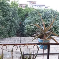 اجاره روزانه