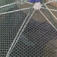 گرگور تور بچه ماهی|ماهیگیری|اصفهان, باغ فدک|دیوار