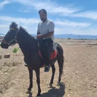 مادیون 4سال کشش خورده