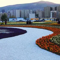 راهنمای محلی