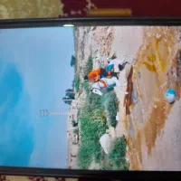 با سلام یک مادیون ۵سال