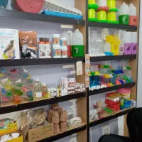 قفس و پرنده شما رو خریداریم خوراک پرندگان خانگی