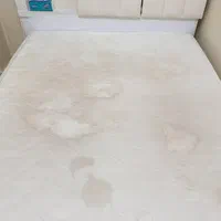 شستشوی مبل مبلشویی و خوشخواب در محل|خدمات نظافت|تهران, سازمان برنامه شمالی|دیوار