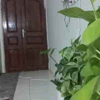اجاره آپارتمان ۱۲۰ متری ۲ خوابه طبقه ۱ در محمدآباد