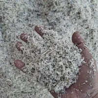 تفالهچغندرتر قندی|حیوانات مزرعه|سیرجان, |دیوار