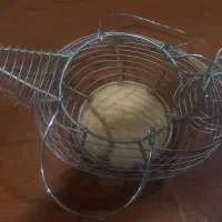 سبد تخم مرغ