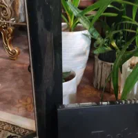 یک دستگاه ویدیو با دوتا بلنگو ومانیتور