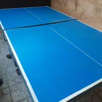 میز پینگ پنگ