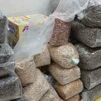 پخش تخمه  چینی وخوی|عمدهفروشی|قیدار, |دیوار