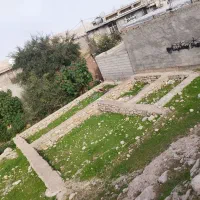 زمین