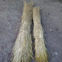 کولش