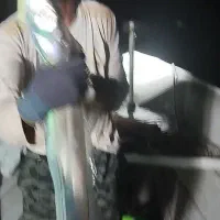 ناخدا هستم همراه ۳تا جانشو|ماهیگیری|بندرعباس, |دیوار