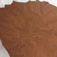 کاملینا درجه یک