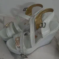 کفش نیم بوت و اسپورت و مجلسی|کیف، کفش، کمربند|مشهد, شهید علی محمدی|دیوار