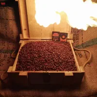قهوه روبستا‌ ویتنام