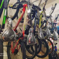 دوچرخه مارکت حرفه ای|دوچرخه، اسکیت، اسکوتر|تالش, هشتپر|دیوار