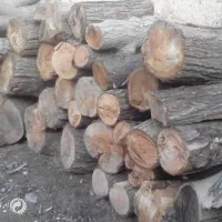خریدار چوب و کنده قطر ۱۰ تا ۲۰ سانت