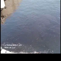 نصب تخصصی ایزوگام|خدمات پیشه و مهارت|اردبیل, |دیوار