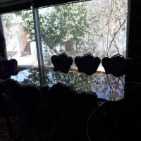 ناهارخوری  8  در حد نو