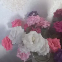 گل های رنگارنگ زیبا