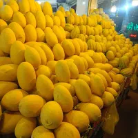 نیازمند کارگر میوه فروشی