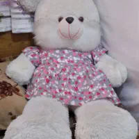 دو دست استکان اصل ۶۵۰|ظروف سرو و پذیرایی|نسیم‌شهر, |دیوار