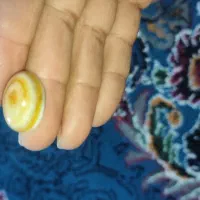 سنگ سلیمانی|جواهرات|اهواز, کوی علوی|دیوار
