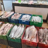 ماهی فروشی آبادان