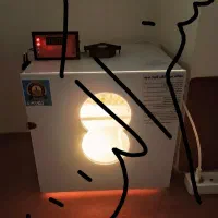 تخم طوطی سانان