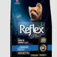 گربه بریتیش دوماه پرشین اسکاتیش|گربه|تبریز, |دیوار