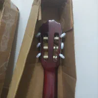 گیتار کلاسیک اصل کره|گیتار، بیس، امپلیفایر|فسا, |دیوار