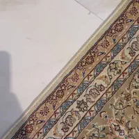 فرش ۹ متری|فرش|تهران, هروی|دیوار