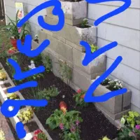 09124528271 فروشی