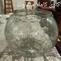 ظروف منزل