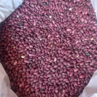 خشکبار بوانات|خوردنی و آشامیدنی|شیراز, دباغ خانه|دیوار