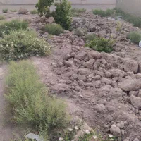 زمین ۱۳۳متری داخل بافت