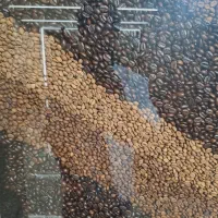 پخش عمده و جزئی قهوه و پودریجات