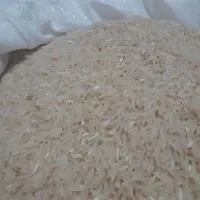 برنج سوزنی اصل بوجاری شده|خوردنی و آشامیدنی|آزادشهر, |دیوار