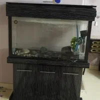 آکواریوم