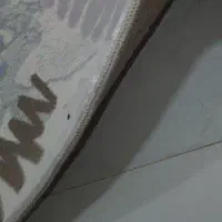 فرش|فرش|نیشابور, شهید بهشتی|دیوار