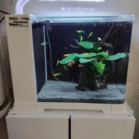 آکواریوم ،هدیه خاص واسه روز زن و روز مادر