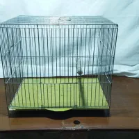 قفس عروس هلندی و مرغ عشق|لوازم جانبی حیوانات|لالجین, |دیوار