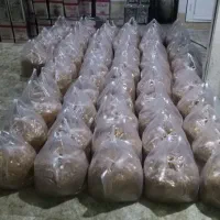 پیازداغ پیاز سرخ شده