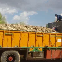 گاوی مرغی زرند بم کرمان