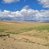 زمین کشاورزی