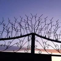 حفاظ روی دیوار شاخگوزنی میلگردی ،بوته ای،در پنجره|خدمات پیشه و مهارت|مشهد, الهیه|دیوار